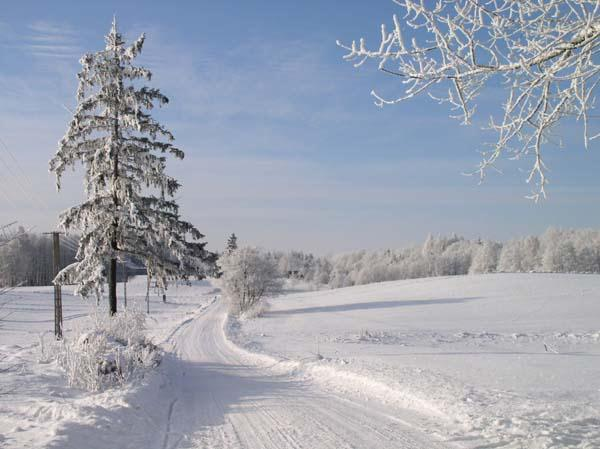 TABELA ZBIORCZA POMIARÓW: STYCZEŃ 2011 DATA OPADÓW [ml] KIERUNEK I SIŁA CIŚNIENIE ZACHMURZENI A 3.01-4ºC b.o. płd.-zach/1.5 całkowite 4.01. -7,9ºC b.o. płd-zach/0,5 ½ 5.01-5,8ºC b.o. płd-wsch/2 całkowite 10.