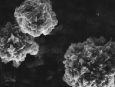 Microphotographs of the particles of sintering powders: a, carbonyl nickel powders, c, electrolytical silver powder Ag-E, e, f) precipitated and reduced