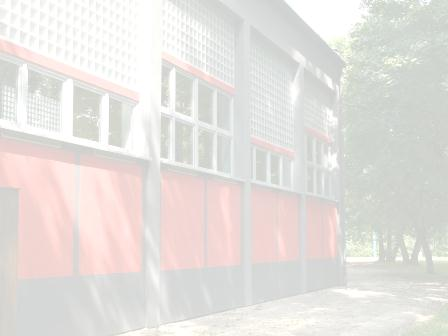 ) Przebudowa sali gimnastycznej wraz z zapleczem i dachem w budynku Szkoły Podstawowej Nr 36 przy ul. Gen. De Gaulle`a Remont zespołu sanitarnego w w budynku Szkoły Podstawowej Nr 36 przy ul. Gen. De Gaulle`a (2008 r.