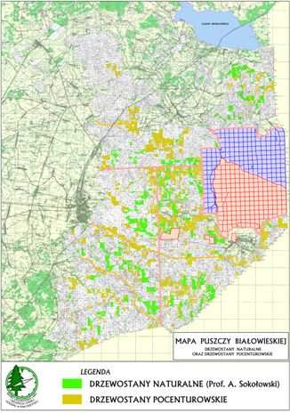 Kulminacje użytkowania piętno na PB ok. 1800 1915-18 1924-29 1929-39 1800 wycięto ok.
