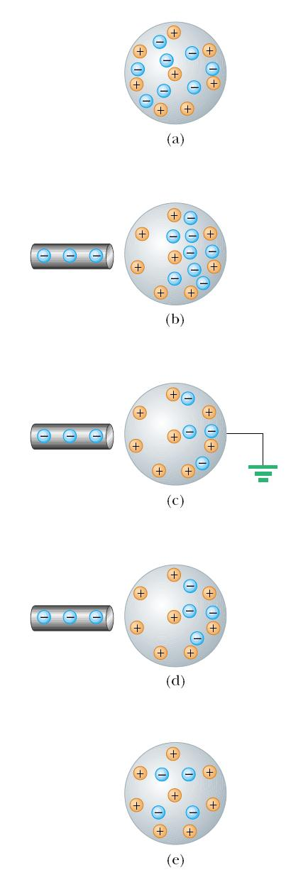 4 Obok przedstawiono proces bezkontaktowego ładowania metalowej kuli (sfery) za pomocą indukcji elektrostatycznej.