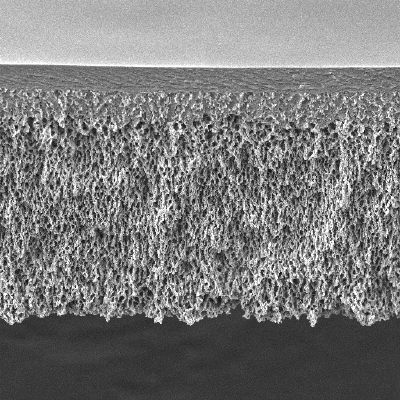 Małgorzata Kabsch-Korbutowicz Fig. 1. SEM of C3 membrane cross-section Rys. 1. Zdjęcie ze skaningowego mikroskopu elektronowego przełomu membrany C3 2.