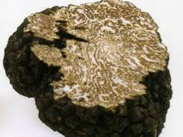 ) Tartufo Bianchetto (Tuber Borchii Vitt.