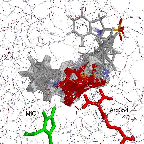 48 tywnego amoniakoliazy fenyloalaniny z pietruszki a różnymi strukturami inhibitora (dwanaście różnych struktur kwasu 2aminoindano2fosfonowego, od ACa do ACf oraz od ECa do ECf).