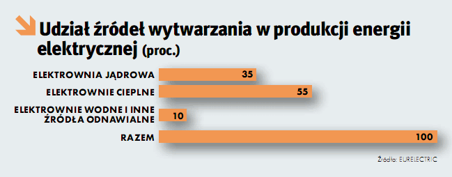 Trzy elektrownie korzystają z lokalnych zasobów węgla brunatnego (rocznie elektroenergetyka zuŝywa ok.