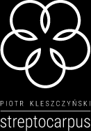 Family Dużo średniej wielkości