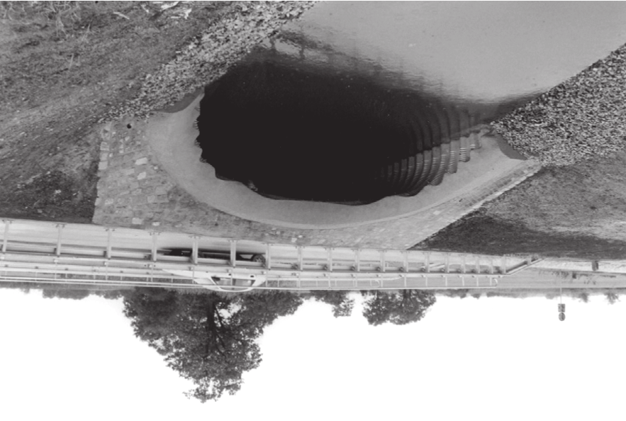 10 Damian Bêben, Zbigniew Mañko Pod ³awy fundamentowe zastosowano warstwy geosiatki typu Tenax LBO o wymiarach 2,50 20,00 m dwukierunkowo rozci¹gane w celu stabilizacji pod³o a, gdy w tym miejscu