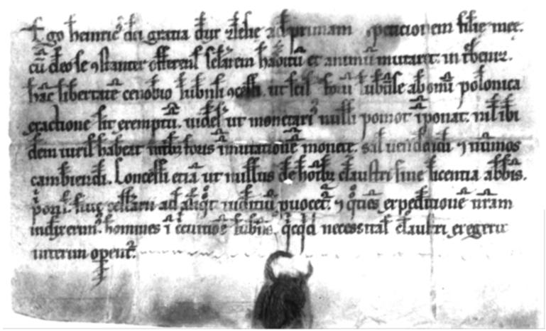Lubiąskie rękopisy muzyczne z XIII wieku 21 Fot. 4. AP we Wrocławiu, rep. 91, sygn. 35.