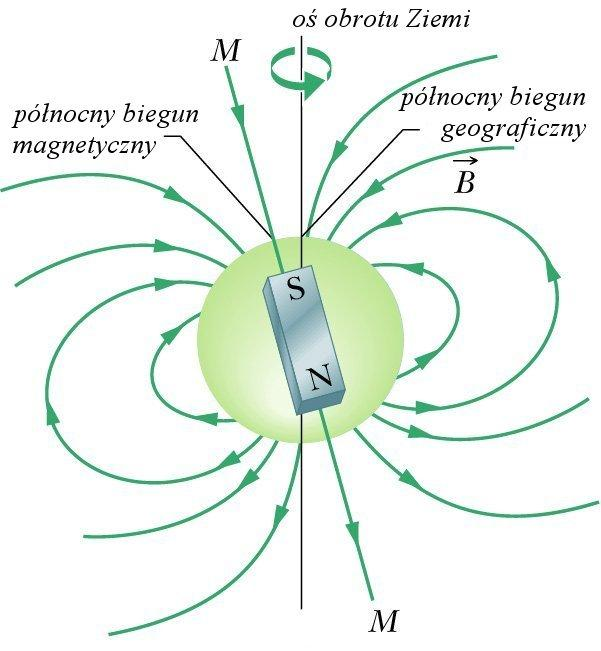 koniec igły magnetycznej wskazujący kierunek północny nazwano północnymi. Bieguny magnetyczne Ziemi nie pokrywają się z biegunami geograficznymi. Rys. 1. Linie sił pola magnetycznego.