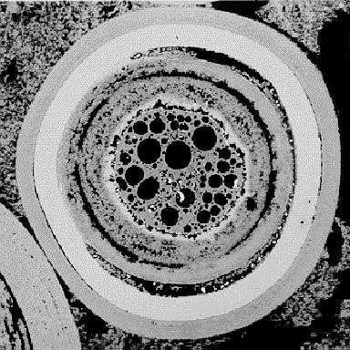 Zachowanie integralności TRISO TRISO-coated particles can retain their integrity even as complete