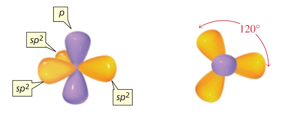 ALKENY WĘGLOWODORY NIENASYCONE sp