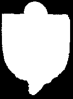 Swoją postawą pokazuje, że uczestniczyć w liturgii to znaczy współdziałać i współtworzyć ją, czynnie w niej się angażując. Patronami ministrantów są: św. Stanisław Kostka, św. Tarsycjusz, św.