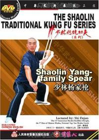 8. fot.8: Shi Su Gang si fu praktykujący formę Shaolin Yang Jia Qiang.