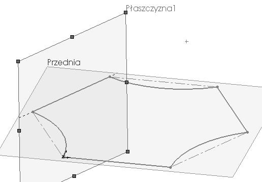 płaszczyzny przedniej.