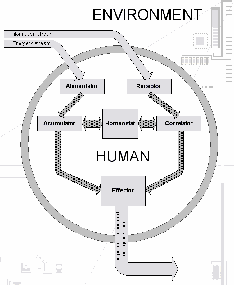 Rys. 1. Struktura systemu autonomicznego na przykładzie człowieka [1] 2.
