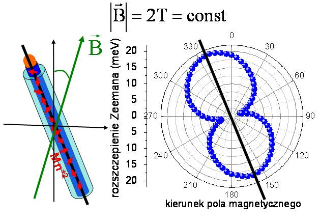 Załącznik 2a Autoreferat Piotr Wojnar 14 oddziaływanie wymienne sp-d nośników pasmowych z jonami magnetycznymi. Za polaryzację kołową emisji odpowiada natomiast polaryzacja spinowa nośników pasmowych.