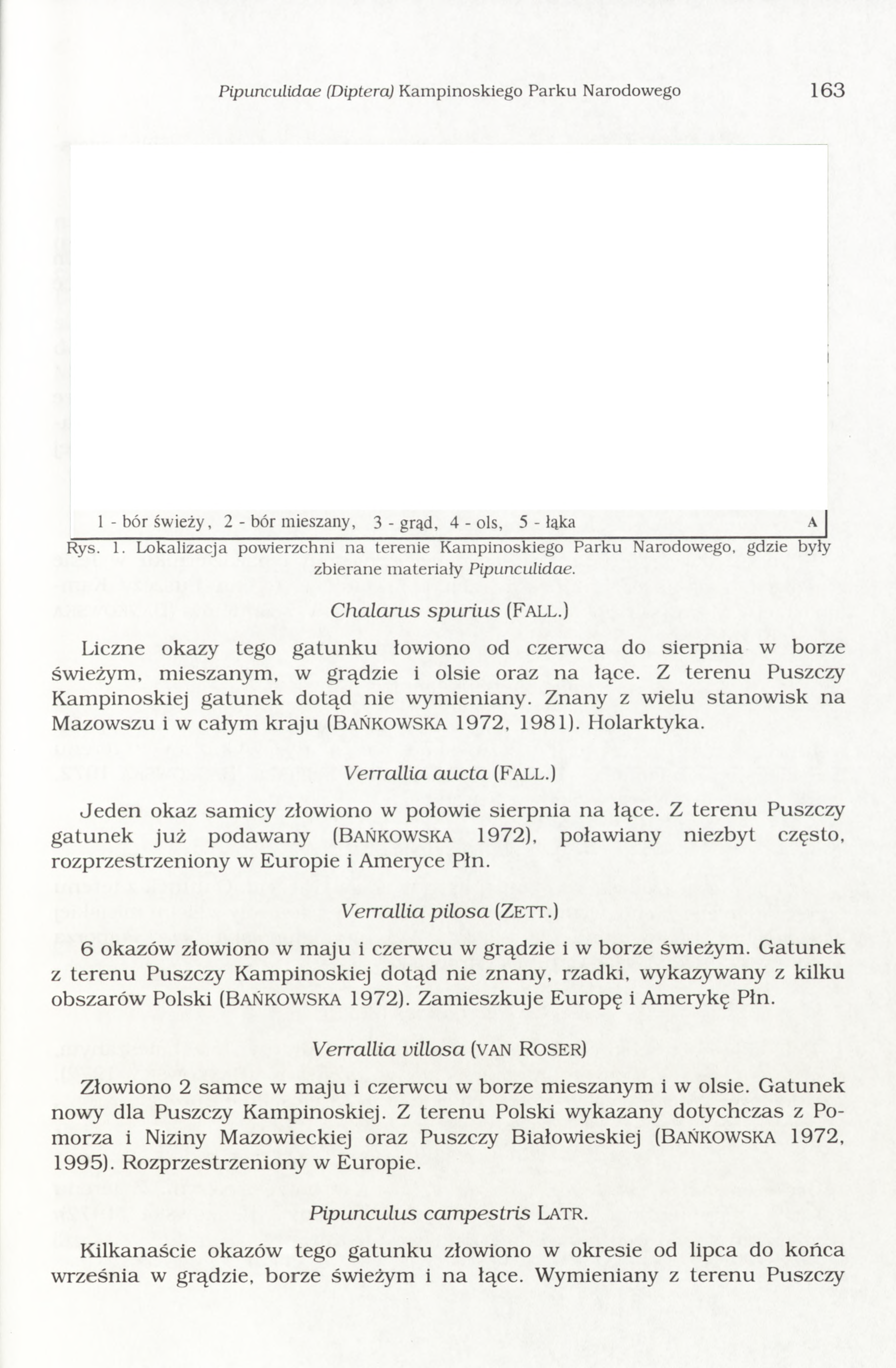 Pipunculidae (Diptera) K ampinoskiego Parku Narodowego 163 -------------- /m u m RV] u m ila j ' U "m j ZakroczymJlHluM Nowy (IDwór M azh 999999 i s M Leoncin IJW alf 1 C zosnow 09 Tułowice K A M P I