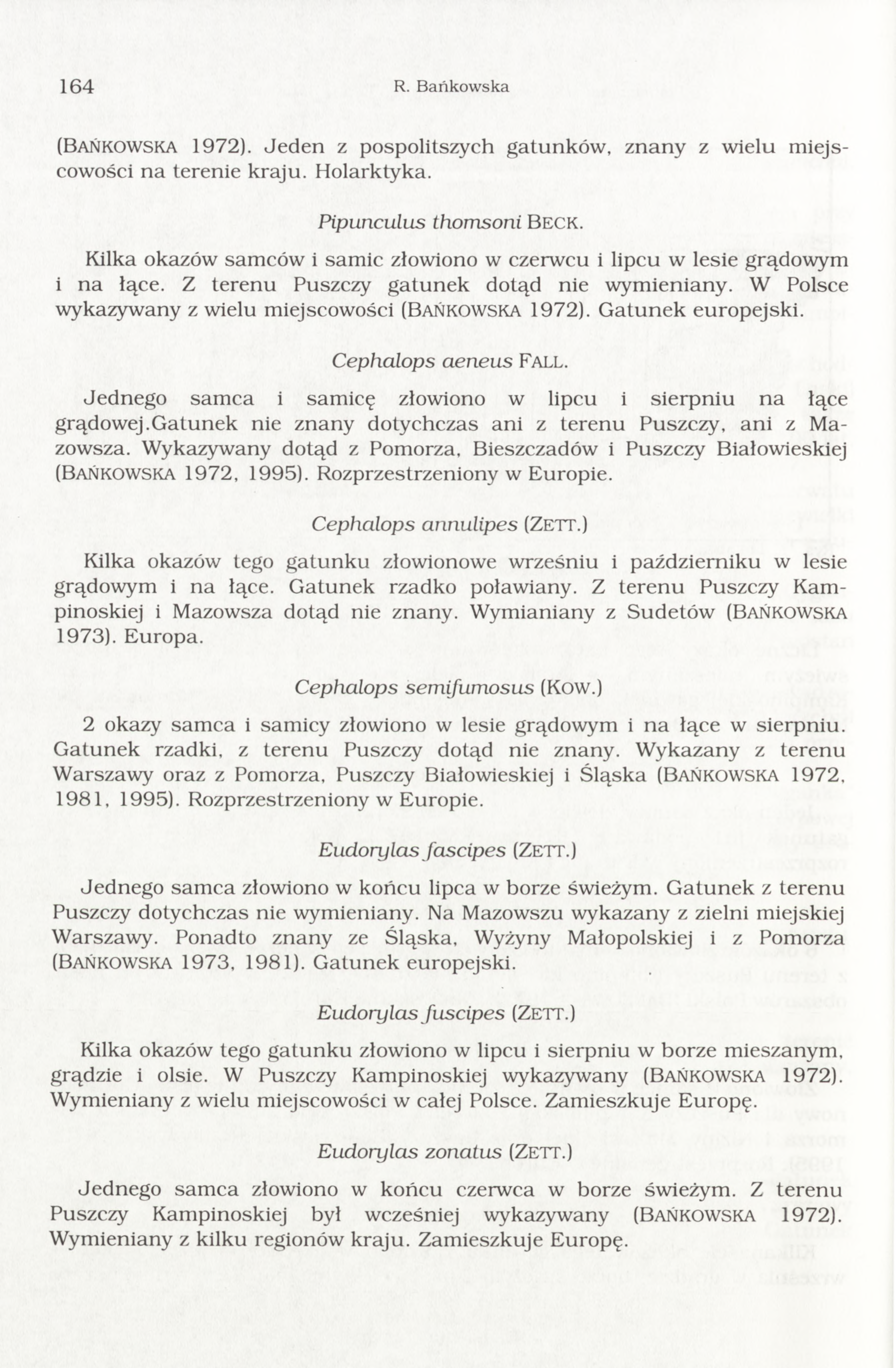 164 R. Bańkow ska (B ańkow ska 1972). Jed en z pospolitszych gatunków, znany z wielu m iejscowości n a terenie kraju. H olarktyka. Pipiinciilus thomsoni B eck.