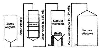 Uwarunkowania suszenia Podstawowym warunkiem właściwego przebiegu procesu suszenia nasion jest zapewnienie odpowiedniego przepływu i temperatury gazów suszących lub powietrza, nie zmniejszających