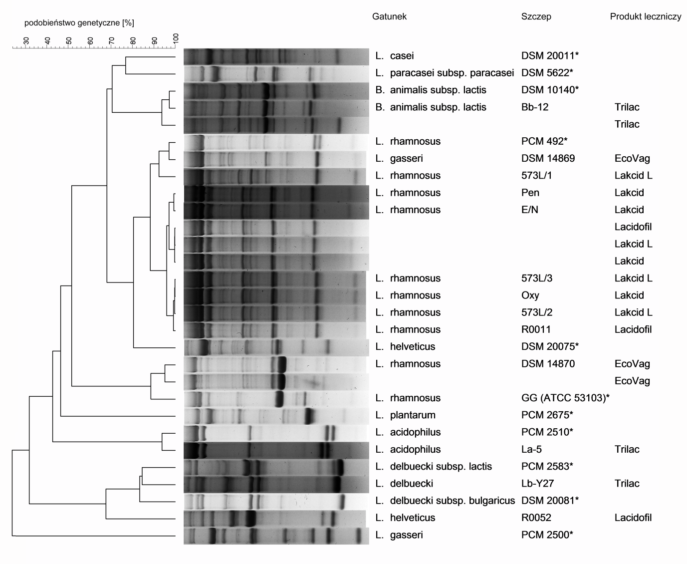 52 A. Wiatrzyk i inni Nr 1 Ryc. 1. Dendrogram profili amplifikacji DNA metodą rep-pcr szczepów probiotycznych oraz odpowiadających im produktów leczniczych.