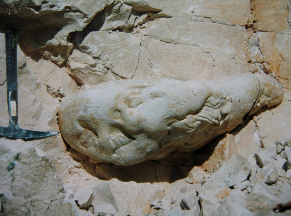 Geologiczna zagadka krzemienia pasiastego
