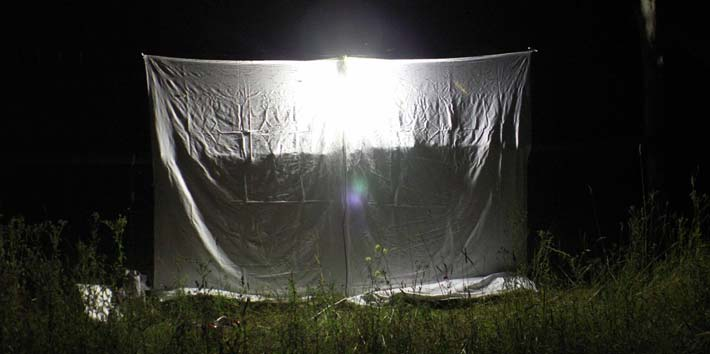 Ryc. 3. Ekran z lampą rtęciowo-żarową (fot. T. Mokrzycki) Fig. 3. White sheet with mercury vapor light Przynęta pokarmowa Część imago motyli nocnych pobiera pokarm, bez czego nie są zdolne do wytworzenia komórek rozrodczych.