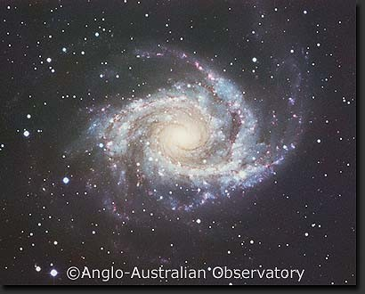 NGC 2997 Sc
