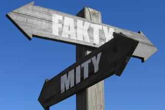 Mity i fakty Organizacja nie może zarabiać pieniędzy Organizacja prowadząc działalność gospodarczą nie może korzystać z dotacji Prowadzenie działalności