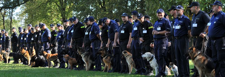 Przewodnicy psów patrolowo-tropiących, biorący udział w konkursie od jego początku, zostali włączeni do osobnej edycji odbywającej się rok później.