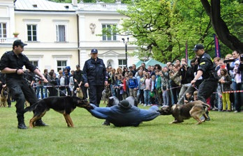 8. Współpraca międzynarodowa 7.