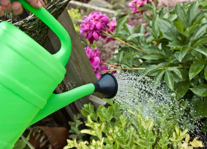 watering Garden basket kosz ogrodowy cans konewki