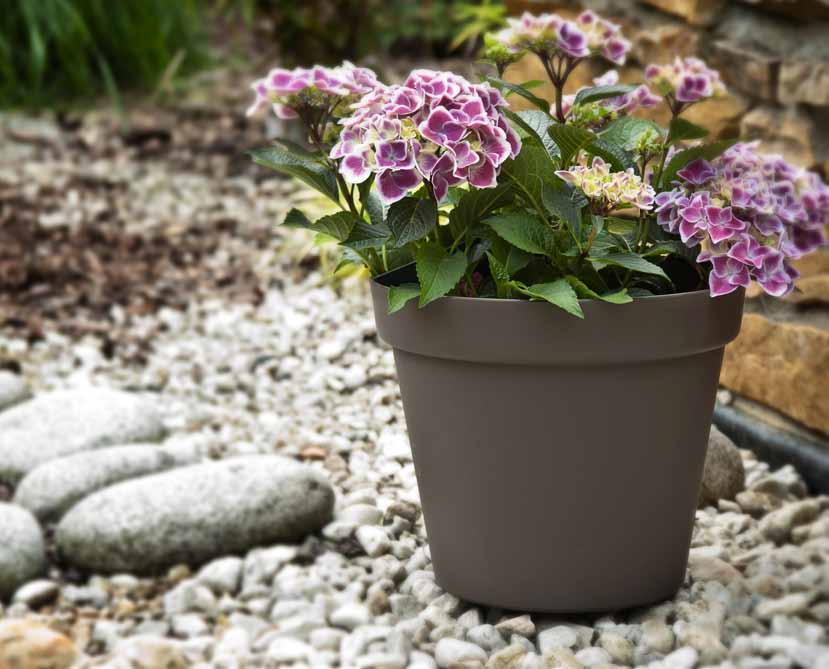 Patio natural touch POT doniczka 110x94 150x126 190x160 260x2 340x290 11 6480 135 15 0,6 15 2640 132 12 1,4 19 1152 48 8 3 26 384 16 8 7 34 360 10 17 SAUCER podstawka DEDICATED TO: dedykowana do: