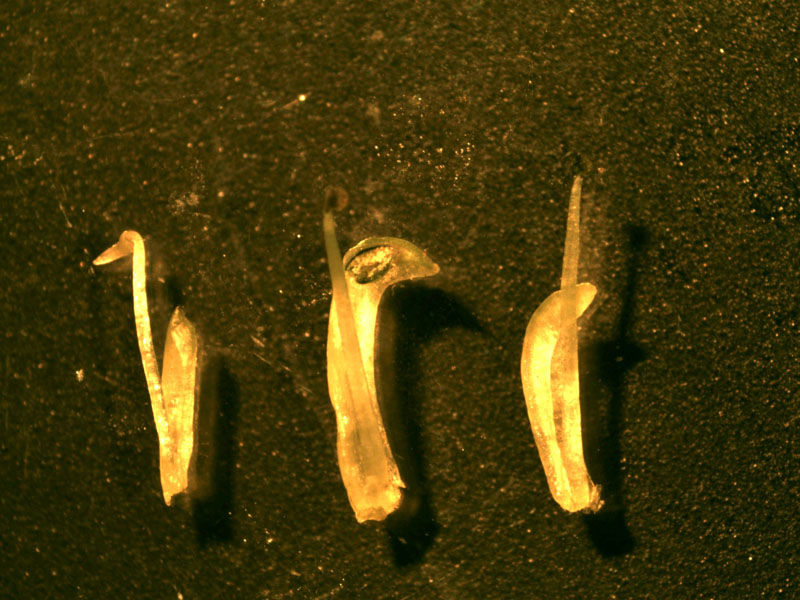 wewnętrznej Fot. 59.B.
