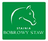 9 9 ZIÓŁKOWSKA JUDYTA BKJ Bogusławice CIARCZYŃSKA ALICJA LESZEK-KARWAŃSKA WIKTORIA SŁOWIŃSKA MARIKA Stadnina Koni Ciekocinko KAMIŃSKI JAN SKJ Beckersport Raszyn MACIEJEWSKA NATALIA JKS Salio WACŁAWIK