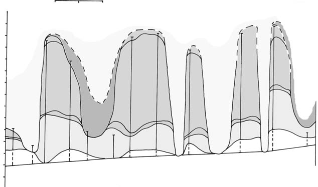 658 T. Falkowski Fig. 3. Przekrój geologiczny A B wzd³u biegu koryta Pilicy (lokalizacja Fig.