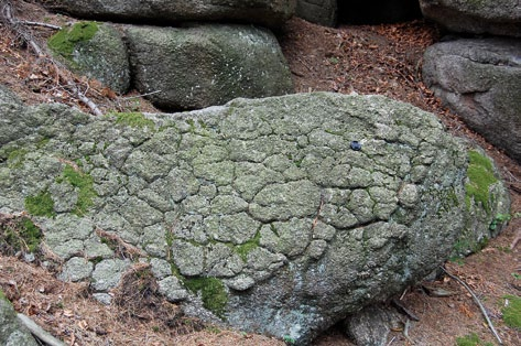 Ryc. 54. Osobliwe poligonalne spękania granitu na Przesieckiej Górze przez wieloboki różnej wielkości i kształtu (ryc. 54).