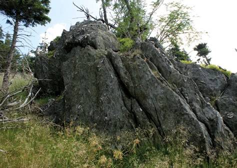 Ryc. 62. Jedna z wielu łupkowych skałek na zboczach Sowiej Doliny (fot. R. Knapik) Powstanie skałek intrygowało badaczy karkonoskich od dawna.