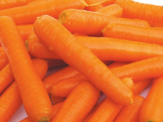 odporność (IR): Alternaria dauci (Alternarioza naci) Erysiphe heraclei (Mączniak prawdziwy) Cercospora carotae (Chwościk marchwi) Pythium (Jamista plamistość) Doskonałe wyniki od początku do końca!