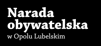 V 6 ul. Stary Kościół Brak. 7 ul. Stary Biblioteka Brak. 8 ul. Stary Skwer Brak. V. Problemy i propozycje zmian.. Transport, ruch i ulice. L.P. ULCA MEJSCE PROBLEM/PROPOZYCJA GRUPA Całe centrum N.