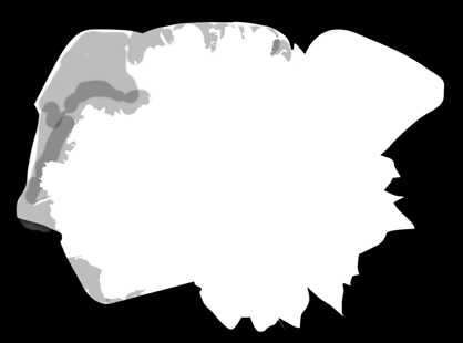 wielopędowa