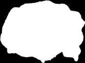 BIOHUMUS EXTRA 8