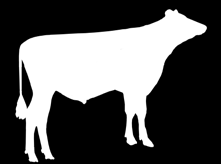 Femmy O Bee Manfred Justice Broeks Mbm Elsa Braedale Goldwyn Shottle Frisby ROBOT a ka INDEX - k az e AB i na Bouw Snowfever Ur. 26.08.