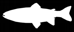 ton ryb łososiowatych, w tym 0,6 tys. ton pstrągów Łącznie: 16,42 tys.