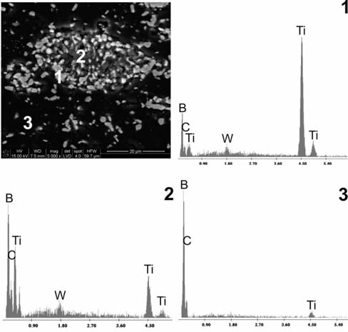 TiB 2 2075 84,1 12,8 0,1 2,1 0,8 B 4 C 15% obj. TiB 2 2075 78,4 18,5 0,2 1,8 1,0 B 4 C 20% obj. TiB 2 2075 71,9 26,3 0,2 1,0 0,7 Tabela 5. Sk ad fazowy materia ów wytworzonych Table 5.