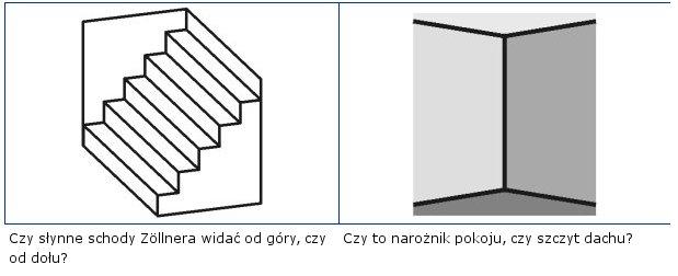 Złudzenia spowodowane przez figury z otoczenia Złudzenia spowodowane szczególnym układem figur Złudzenia spowodowane tłem Złudzenia spowodowane kontrastem koloru Złudzenia spowodowane