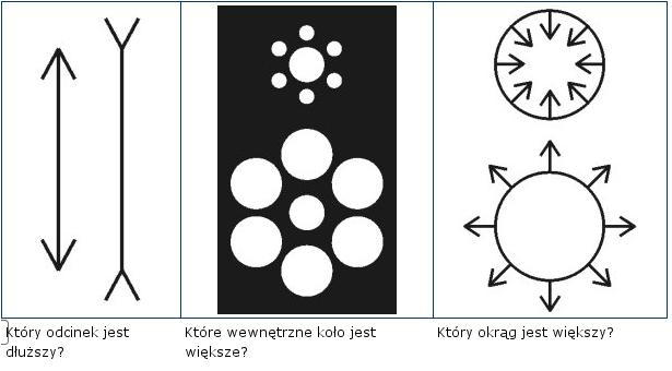 Złudzenia spowodowane przez figury z otoczenia Złudzenia spowodowane szczególnym układem figur Złudzenia spowodowane tłem Złudzenia spowodowane kontrastem koloru Złudzenia