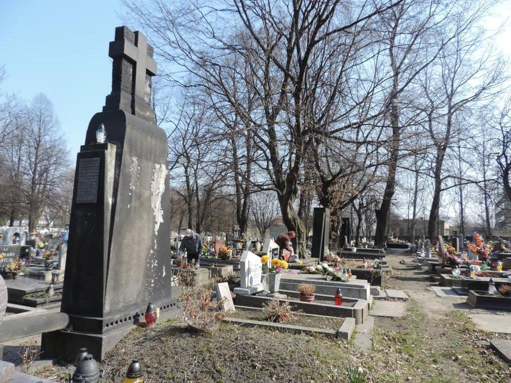 Żywiec Oczków Wilczy Jar.