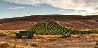 4 Avaniel Ribera del Duero DO Wina z regionu Kastylia - León Apelacja Rueda to niewielki region położony na północy Hiszpanii, nieopodal Valladolid. Charakteryzuje się stosunkowo surowym klimatem.