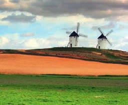 Wina z regionu Kastylia - La Mancha Nad polami i winnicami Kastylii - La Manchy górują okrągłe, otynkowane na biało wiatraki. To z nimi walczył Don Kichot - bohater słynnej powieści Cervantesa.