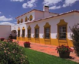 miasteczka Beja. Wśród czerwonych szczepów uprawianych na tym terenie królują Aragonez, Castelão, Alicante Bouschet, Syrah i Touriga Nacional.